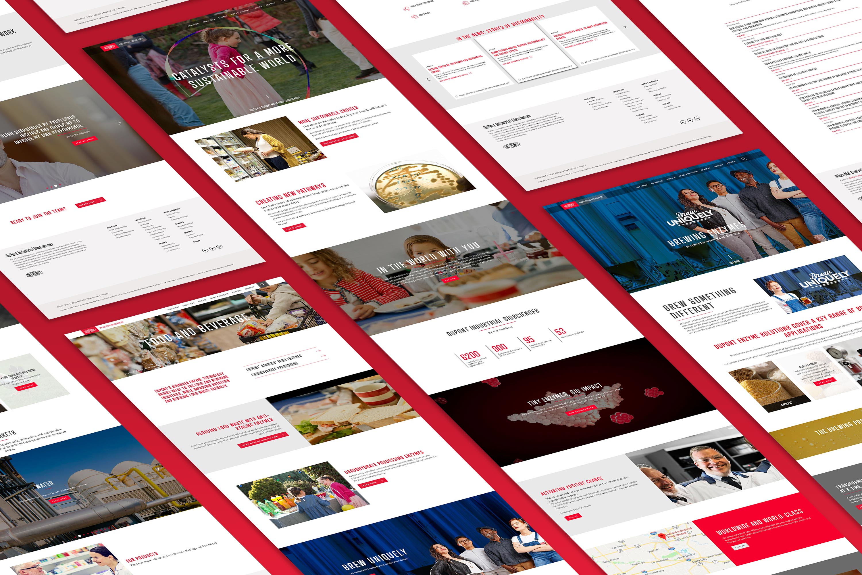 DuPont IB Website-Isometric website mockup